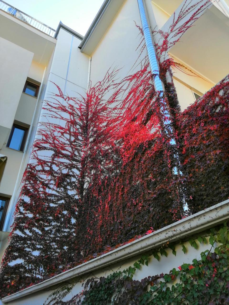 Giorgos Apartments Sea View Olympiakí Aktí Exterior foto